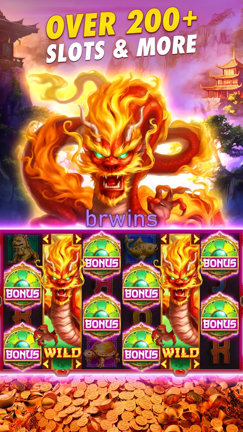 brwins Login